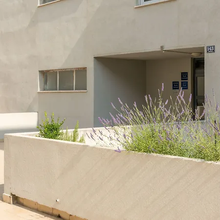 Apartment Sun & Palms *