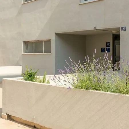 Sun & Palms Apartment *